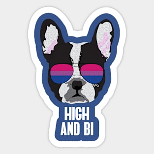 HIGH AND BI - Boston Terrier Dog Bi Bisexual Pride Flag Sticker